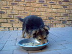 Hi, my name is Max!