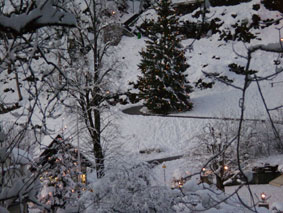 Christmas tree