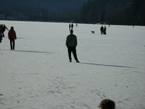 Standing on the lake