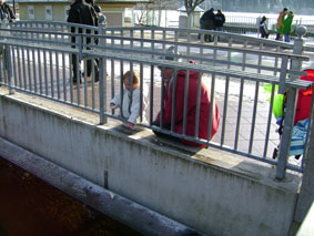 Feeding the ducks